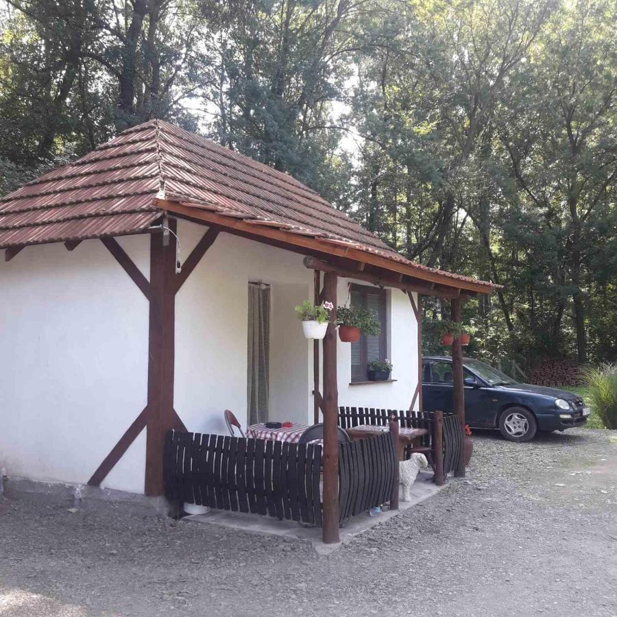 Sljivik Konuk evi Ni Dış mekan fotoğraf