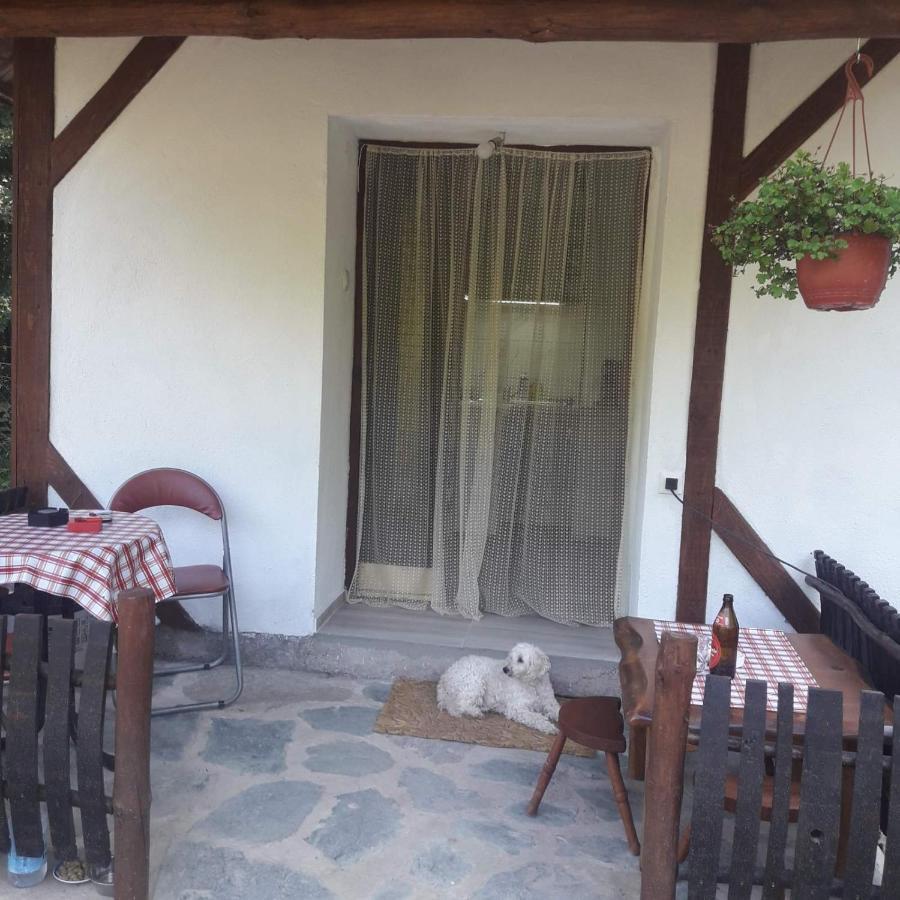 Sljivik Konuk evi Ni Dış mekan fotoğraf